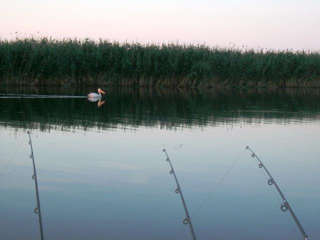 Doar ... NATURA  - 2 - gedc0280.JPG